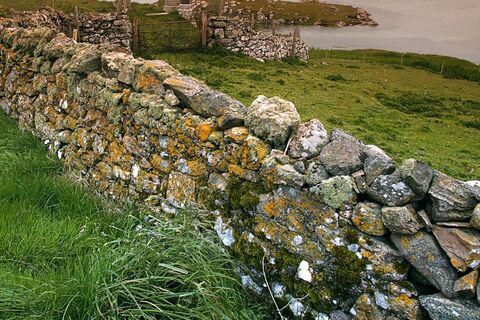 Walls