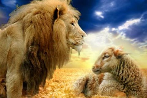 ~~JESUS CHRIST THE LION AND LAMB