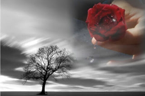 THE SPRING OF PAIN