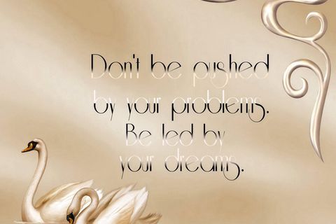 I wish that I could stay I wish that I could stay