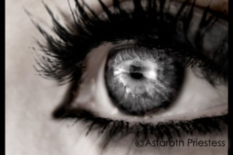 What Do you See..?