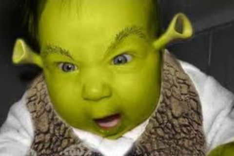 BABY .SHREK!?X