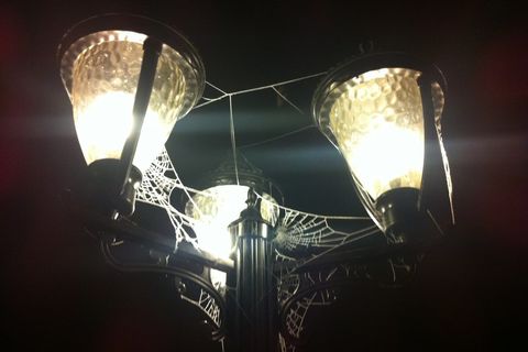 Street Lights