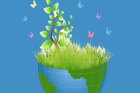 Virgin Earth