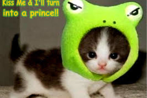 PUSSY PLEA.S !?X