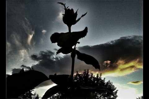 Reaching For God Reaching For God