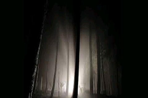 Light and Dark 