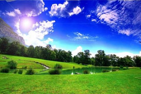 Passing Meadows