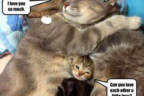 1 OF MY 9 LIVES !?X