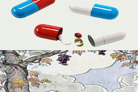 CAPSULES: 4  The Grapes, never ever grabbed !