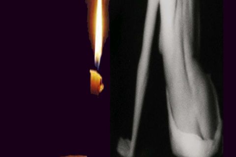  Love of a Candle Light
