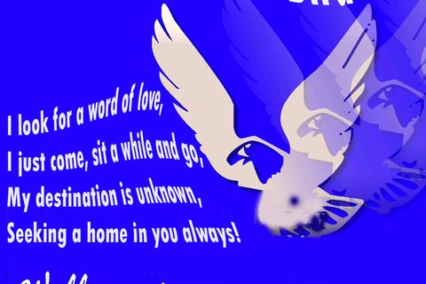 A Word is a Bird