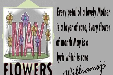 MAY FLOWERS – DAY 1:  BY WILLIAMSJI MAVELI