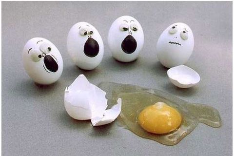 R.I.P. EGGWARD !?X