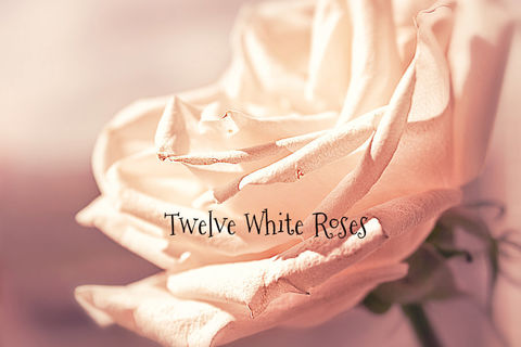 Twelve White Roses