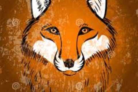 The Scarlet Fox