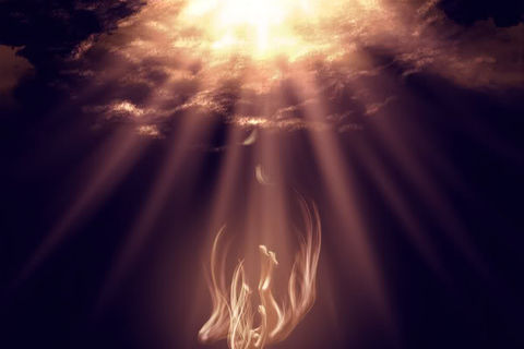 &quot;Fallen Creation&quot;