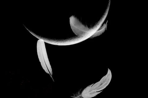 FALLEN ANGELS  (PARTS ONE &amp; TWO)    topic Apocalypse