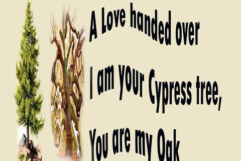A Love handed over 
