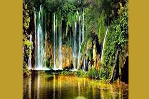 Nature&#039;s Gift