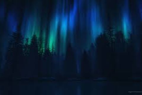 Summer Night