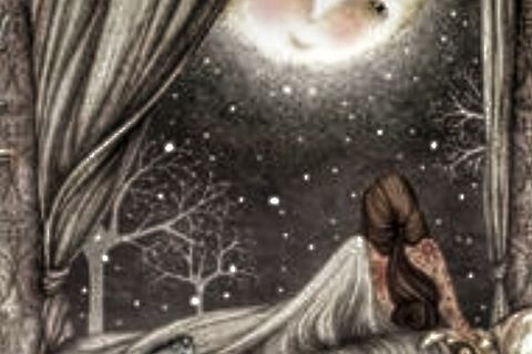 Insomnia of A Lover