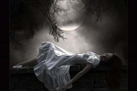 Moon And Me