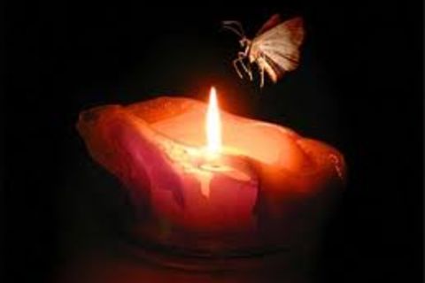 Moth And Fire