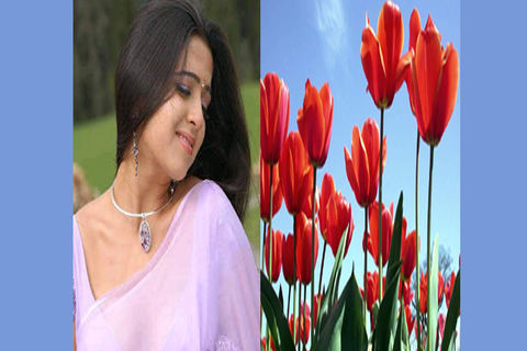 MAY FLOWERS: DAY 12 BY WILLIAMSJI MAVELI