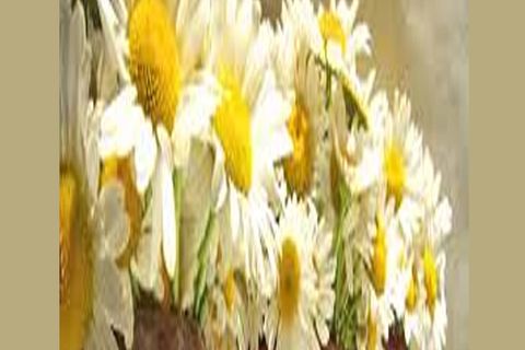 MAY FLOWERS: DAY 15 BY WILLIAMSJI MAVELI