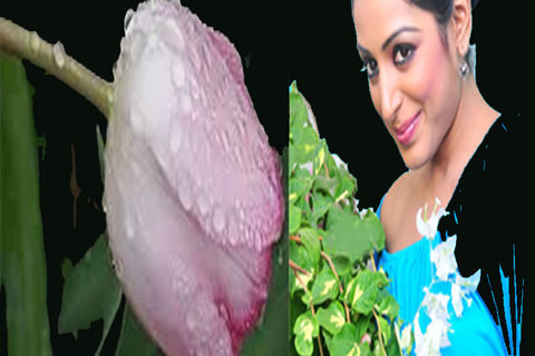 MAY FLOWERS: DAY 17 BY WILLIAMSJI MAVELI