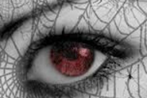 WEB OF LIE,S !?X