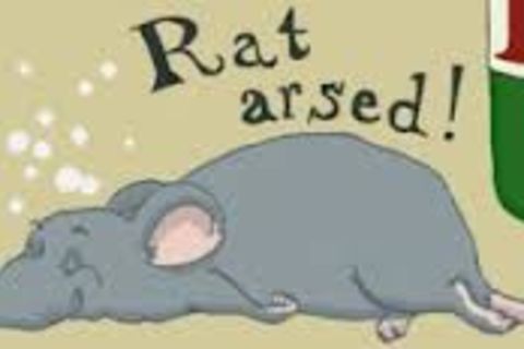 SO RAT ARSED !?X
