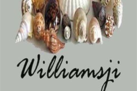 SEA SHELLS: BY WILLIAMSJI MAVELI