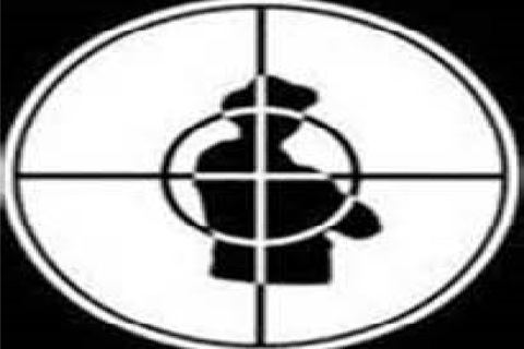 Crosshairs