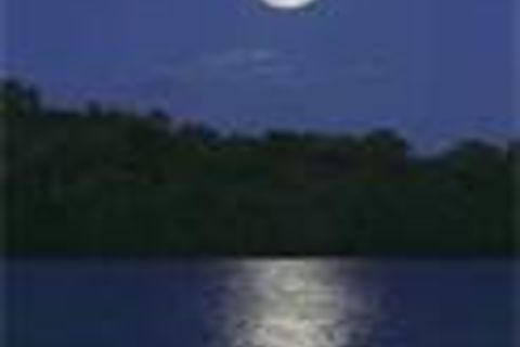 A Winter Moon