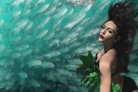 Motion in the ocean