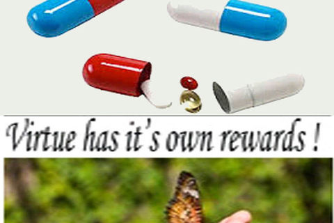 CAPSULES: 9  &quot;   Virtue has its own reward &quot;  
