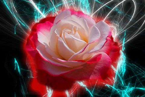 Eternally yours...