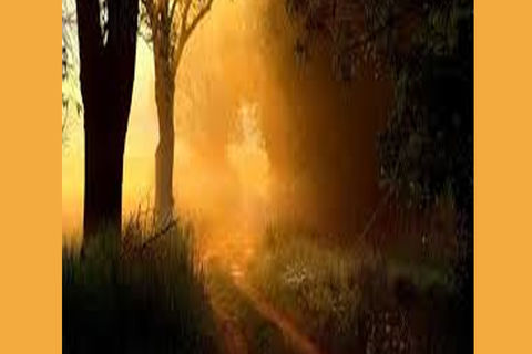 Earth Flares