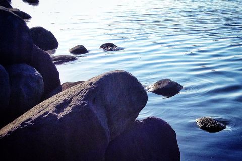 Tranquil Waters