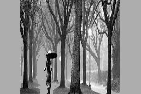 In a rainy night