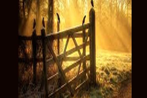 Rays of Dawn