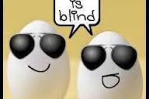EGG.XTRA,ORDINARY !?X
