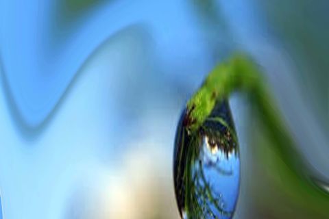 Dew-drop