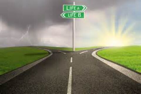 “Where do I go from here?”