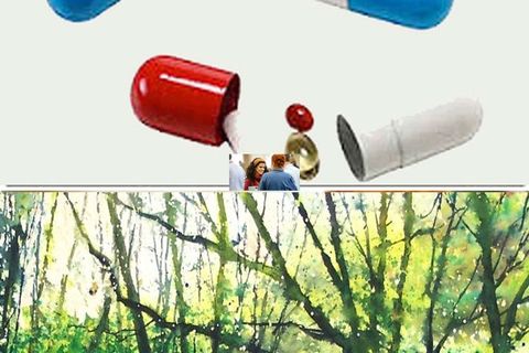 CAPSULES: 14 &quot; Cross the stream where it is the shallowest &quot;
