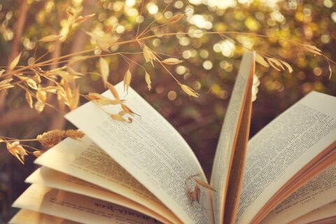 Loving you is Fiction