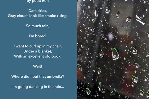 Rain