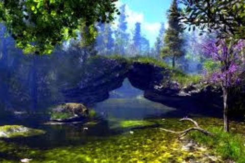 Bridge of Nature...